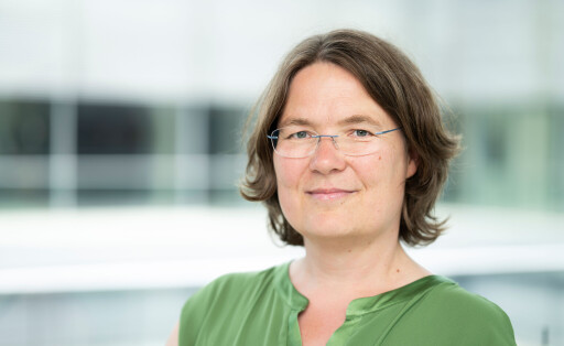 Andrea Lübcke, Grüne